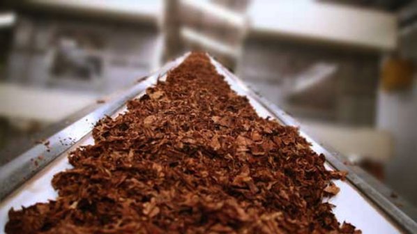 Вносът на контрабанден тютюн скочил над 50 пъти