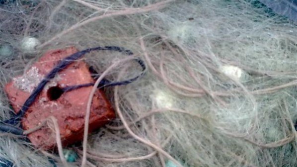 Иззеха бракониерски мрежи за улов на калкан