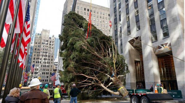 23-метрова елха украсява Ню Йорк