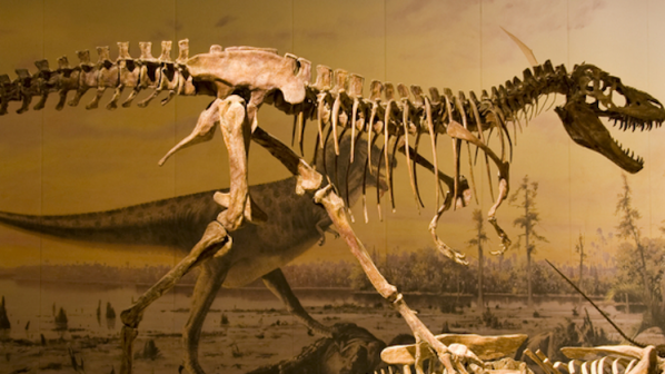 Продават вкаменелости на биещи се динозаври