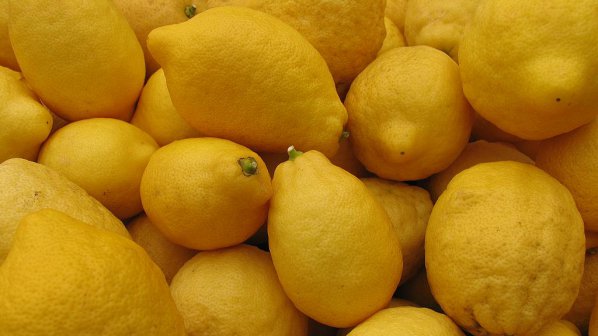Задържаха 16,6 тона контрабандни лимони на Капитан Андреево