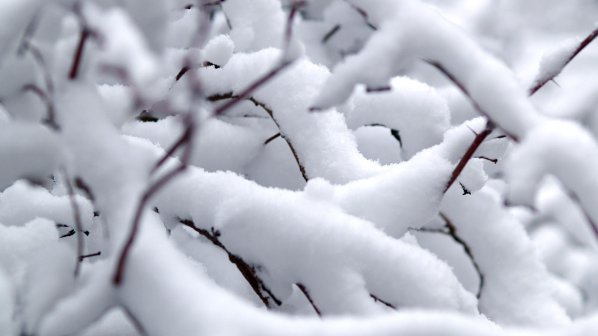 Загиналите в снежните бури в САЩ станаха 11 души