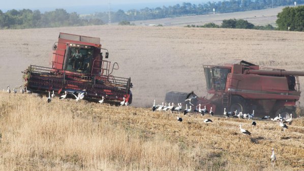 Изплащат субсидиите на земеделците до края на януари