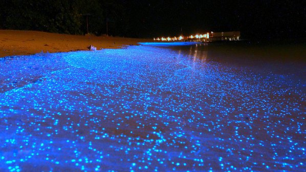 Океан от звезди мие плаж на Малдивите
