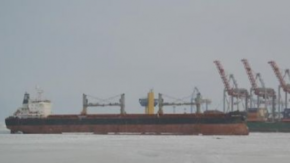 Черно море замръзна (снимки)