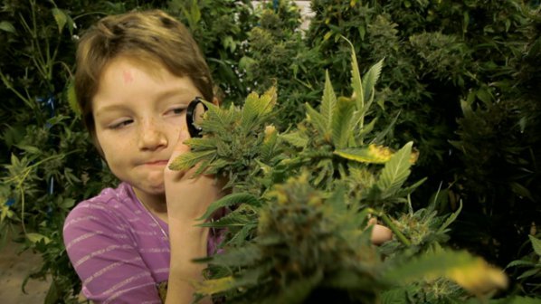 Документален филм показа лечението на деца с марихуана (видео)