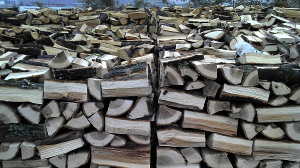 Незаконен склад за дърва откриха полицаи