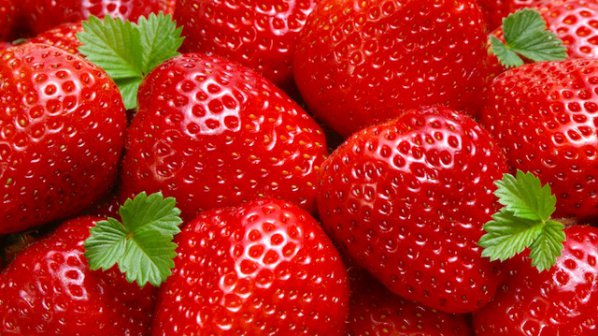 Търсят 150 берачки на ягоди в Испания