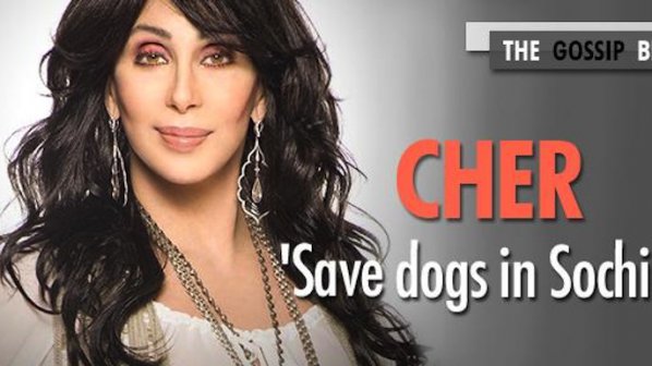Шер: Спасете кучетата в Сочи