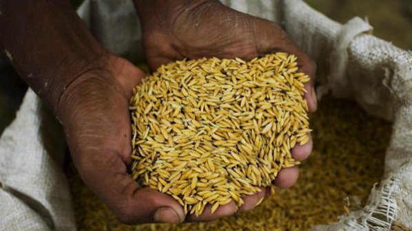 Отчетоха скок на цената на зърното заради кризата в Украйна