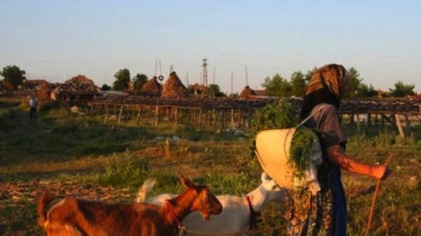 Над 80 от селата във Видинския регион - пред изчезване