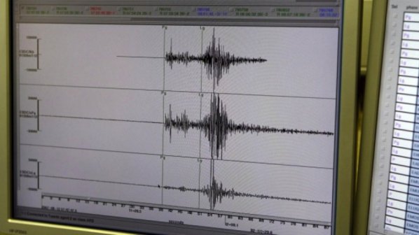 Земетресение с магнитуд 5 по Рихтер е регистрирано в Индонезия