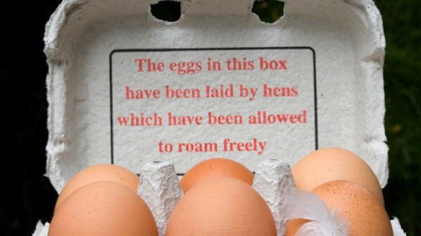 Чупливи яйца напълниха магазините