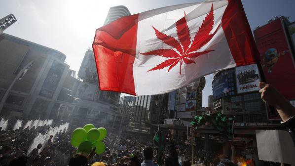 Хиляди канадци поискаха легализация на марихуаната