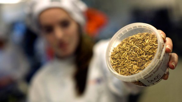 Китайските астронавти ще ядат червеи