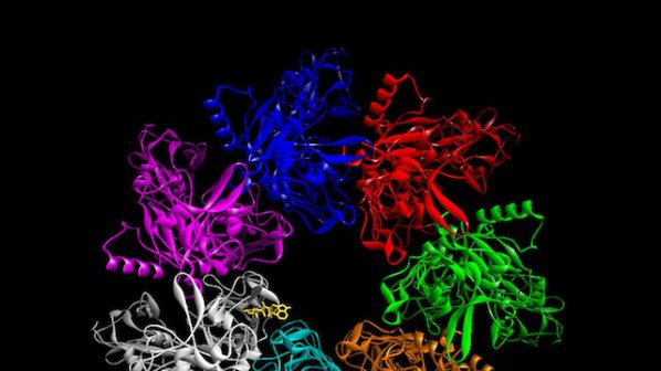 Учени създадоха каталог на протеините в човешкия организъм
