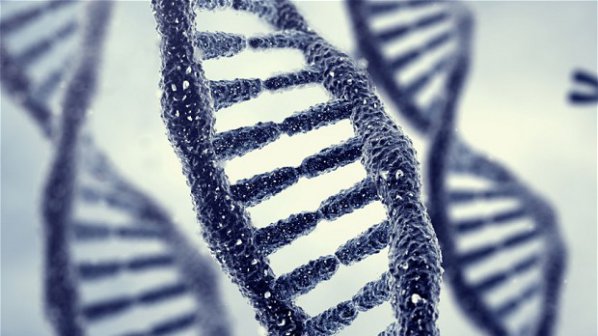 ДНК ще разкрива лицата на предците ни