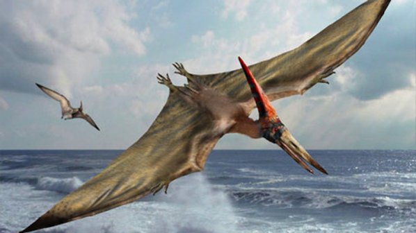 Учени откриха запазена колония на птерозаври