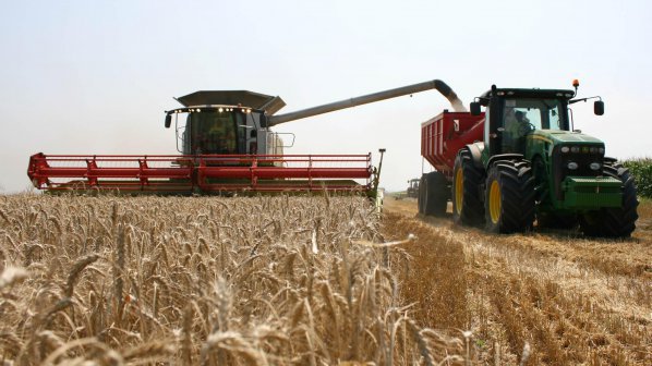 Зърнопроизводителите очакват по-слаба реколта от пшеница и ечемик