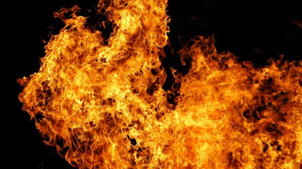Пожар гори до помпените станции край река Марица в Пловдив