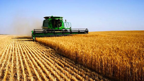 В Ямболска област дъждовете са засегнали повече от 11 000 декара с пшеница