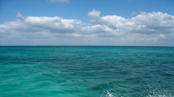 Експерт: Заразата от морска вода е малко вероятна