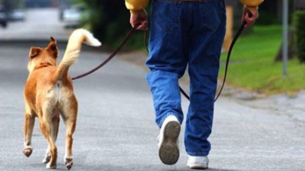 Русе изгради още 2 зони за свободно пуснати кучета