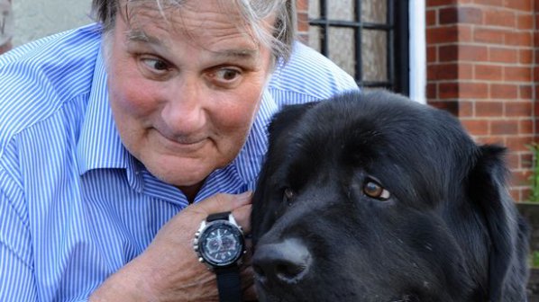 Британец намерил часовника си, след като иззвънял в корема на кучето му