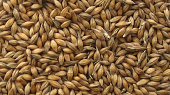 Ожънаха пшеницата в пет от седемте Силистренски общини