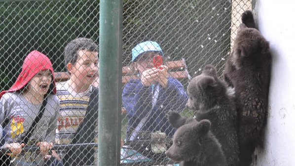 Улесняват регистрацията на частни зоопаркове