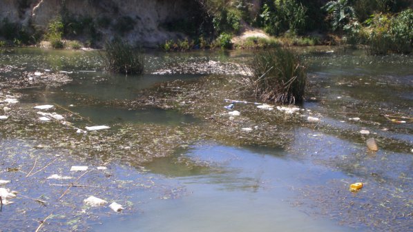Замърсена от порой река уби риби в Пловдив