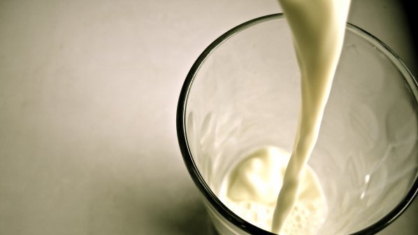 Наливното мляко по пазарите пълно с микроорганизми