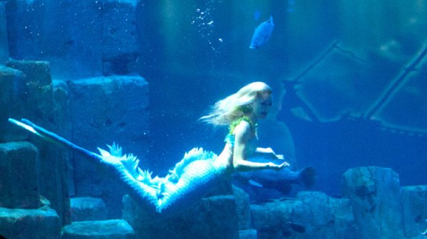 Русалка плува в аквариум в Париж (видео)