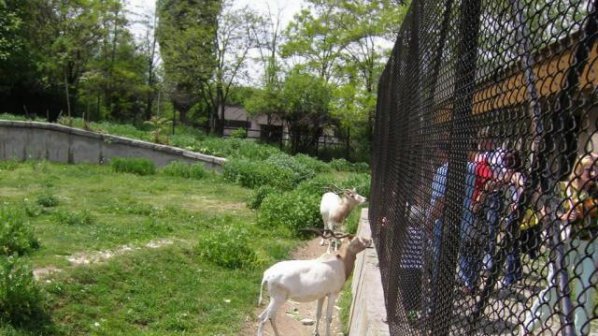 Зоопаркът в София отваря врати утре