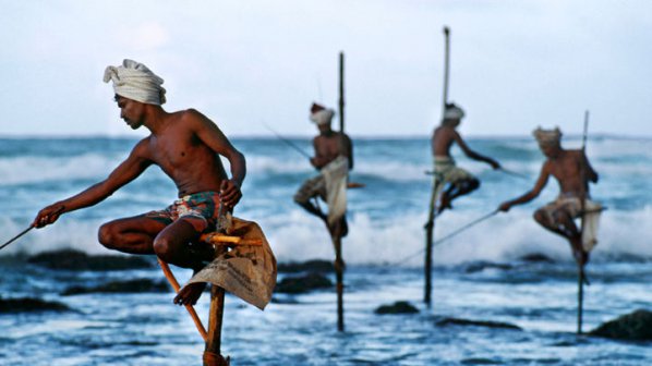Риболов на кокили: чудото на Шри Ланка