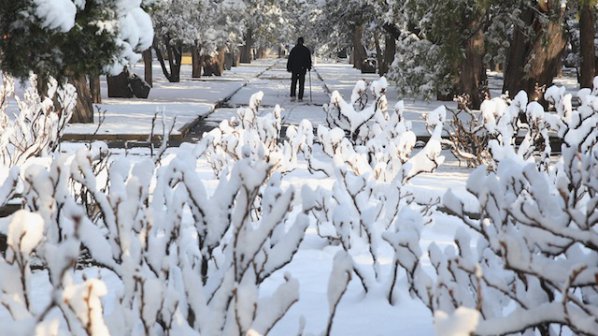 Сняг падна в Македония и Сърбия