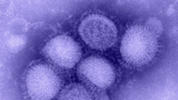 САЩ забраниха на учени да си играят с генетиката на вирусите