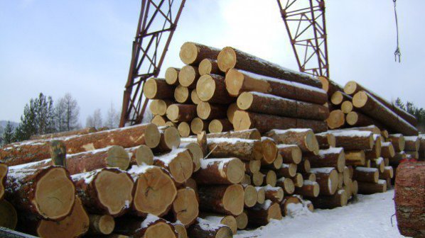 Мъж от Стрелча е задържан за незаконен добив на дърва