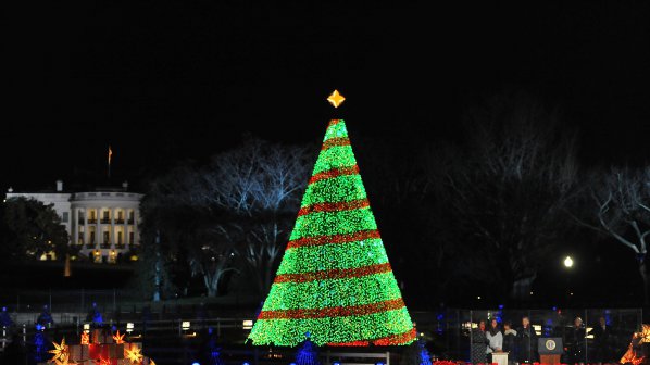 Обама запали светлините на Националното коледно дърво (снимка)