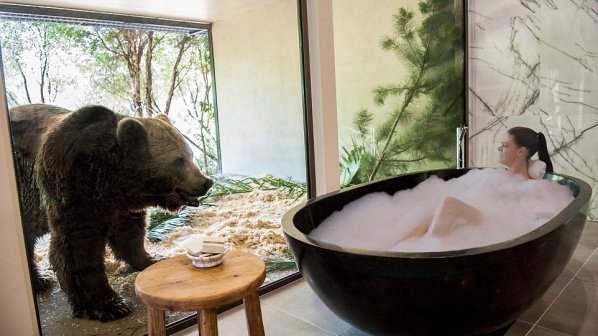 Хотел предлага вана с мечка и вечеря с лъв