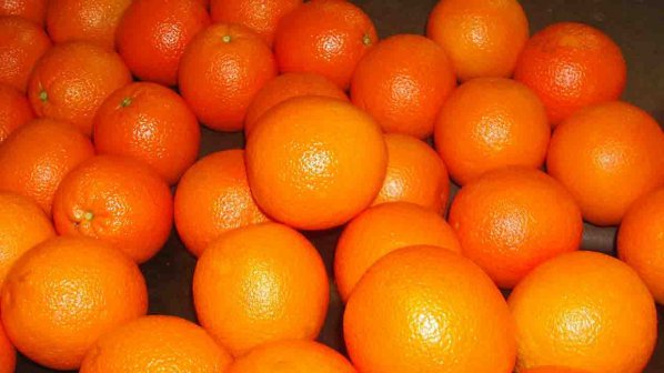 Портокали със свински гени заливат пазара