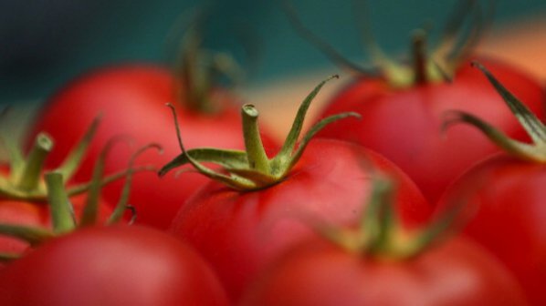 14% от доматите са български