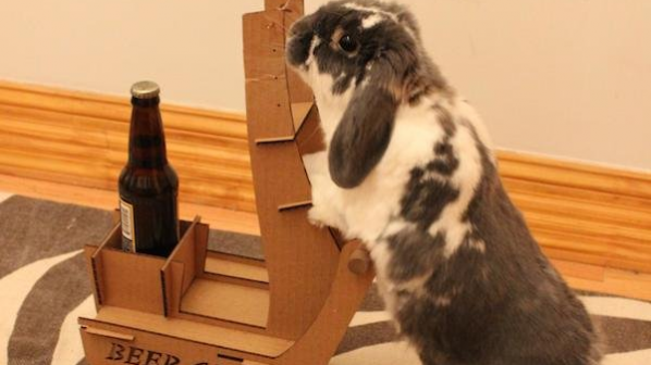 Заек сервира бира на стопанина си (видео)