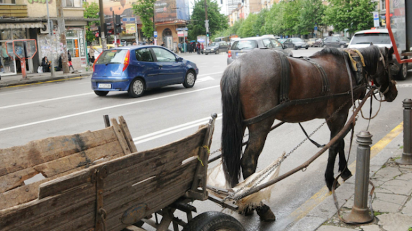 Циганин с каруца си спретна гонка в центъра на Пловдив