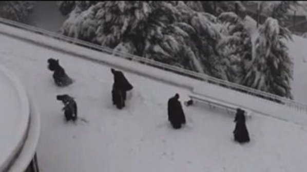 Монаси се замерват със снежни топки (видео)