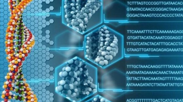 Учени откриха метод за съхранение на данни в ДНК