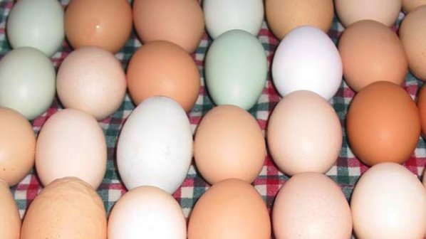 Гледайте за печат на яйцата, предупредиха от БАБХ