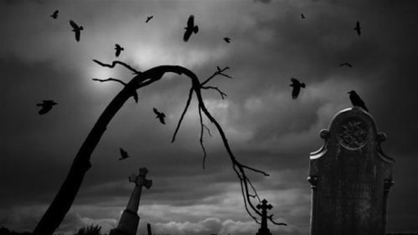 Гробари се биха на гробището в Кюстендил