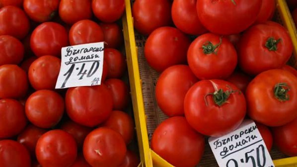 Експерт: Има опасност българският оранжериен домат да изчезне от пазара