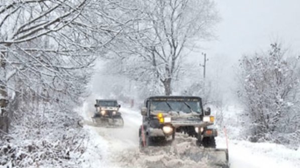 Снегът в Смолянско унищожил 6 хил. хектара гори